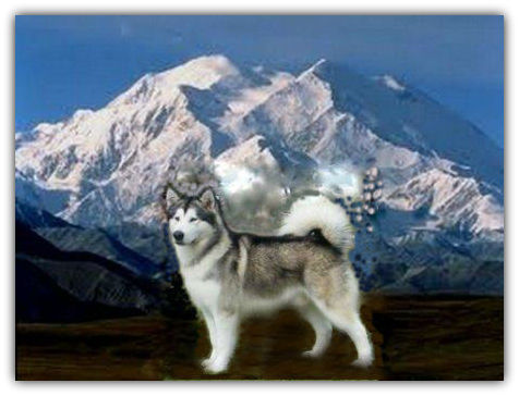 TahkooMtMCK_website